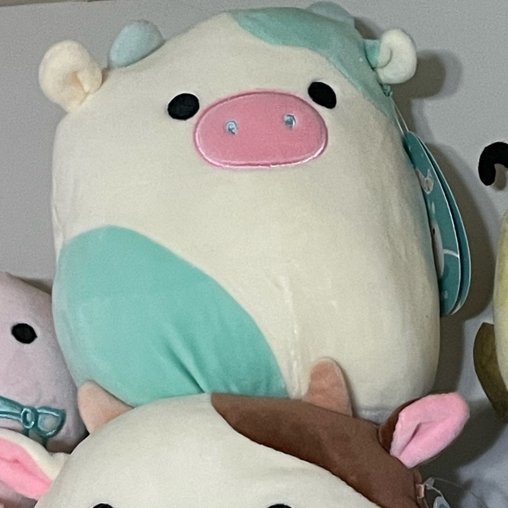 Belana Squishmallow